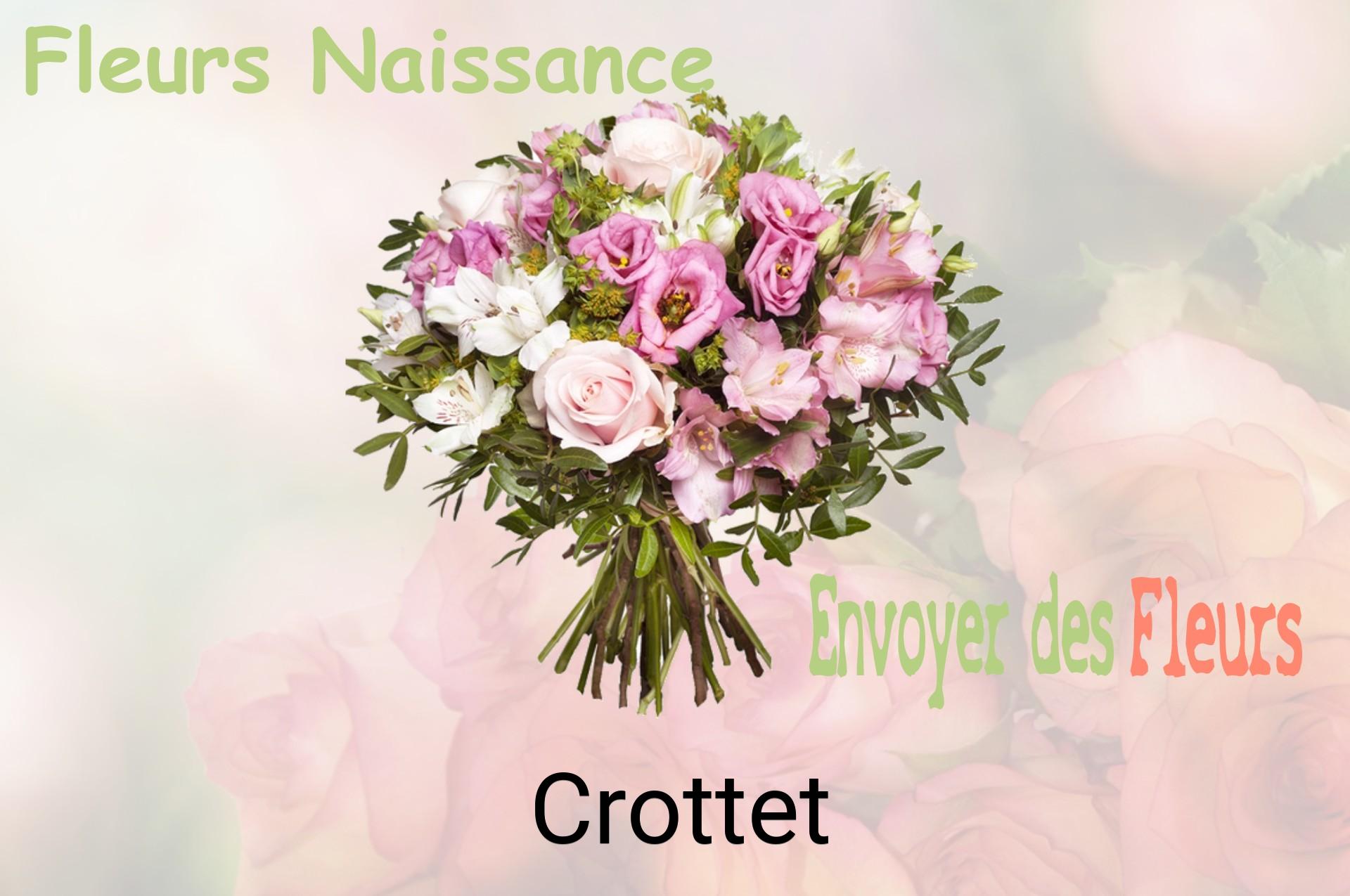 Bouquet de fleurs de naissance livré à Crottet